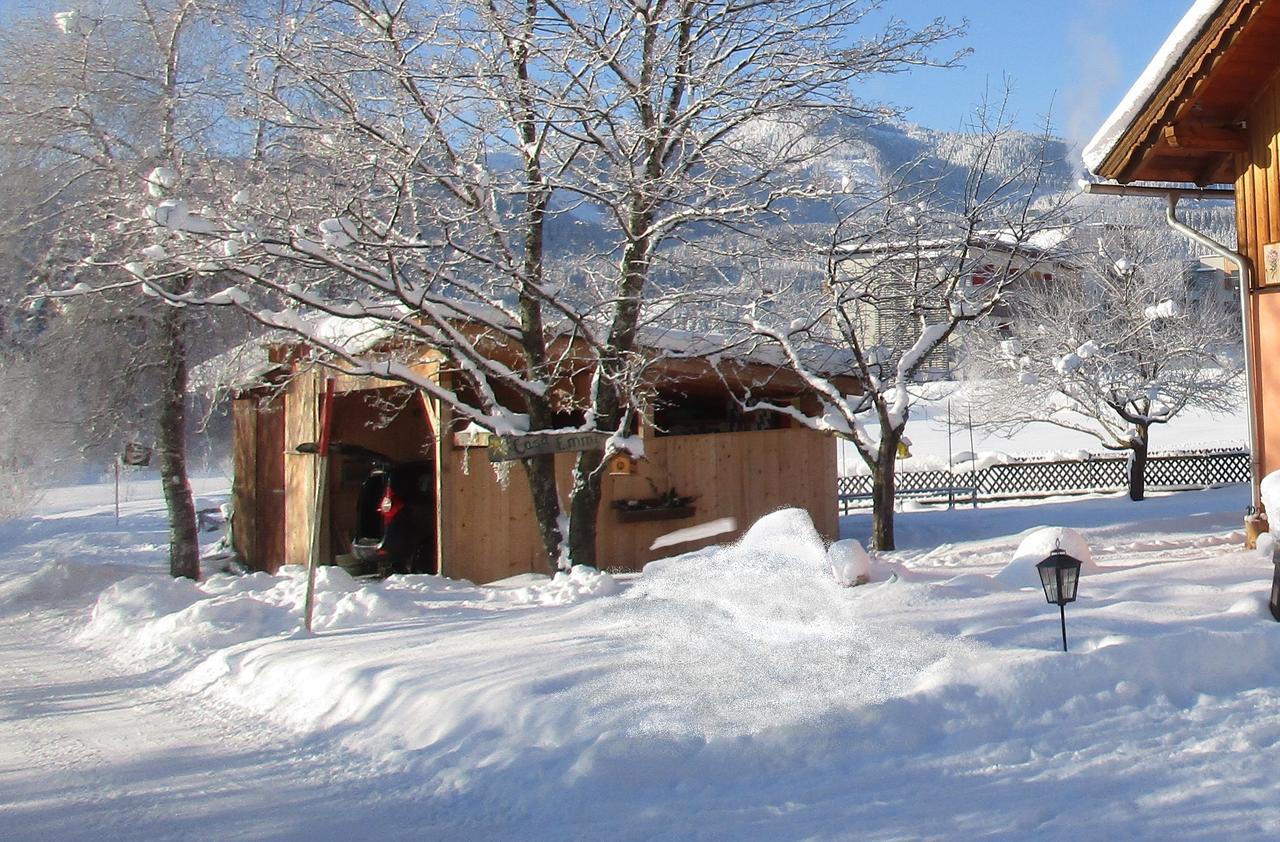 Casa Emmi Apartment Bad Mitterndorf Exterior photo